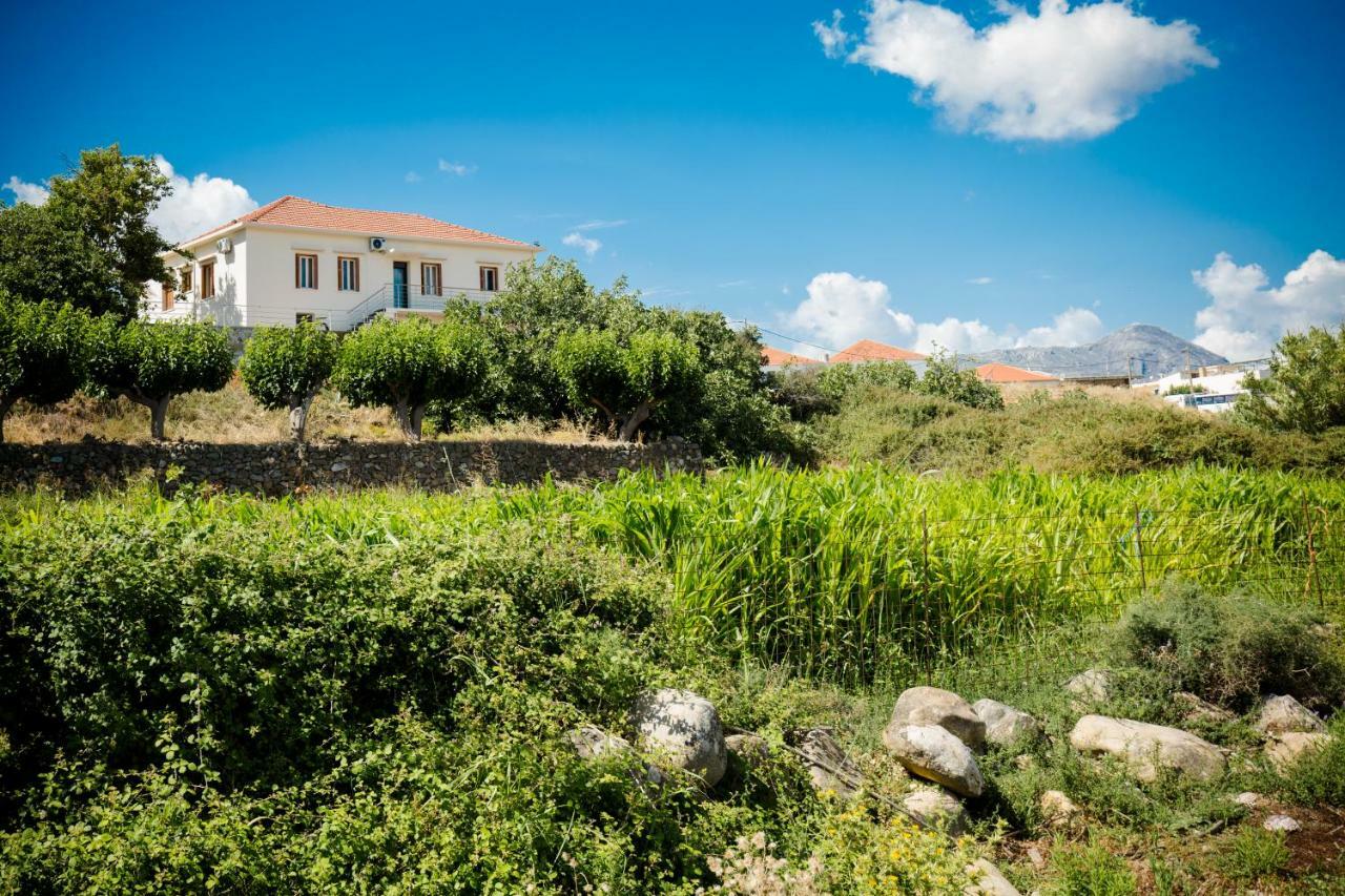 Villa Alexandra Kíssamos Buitenkant foto